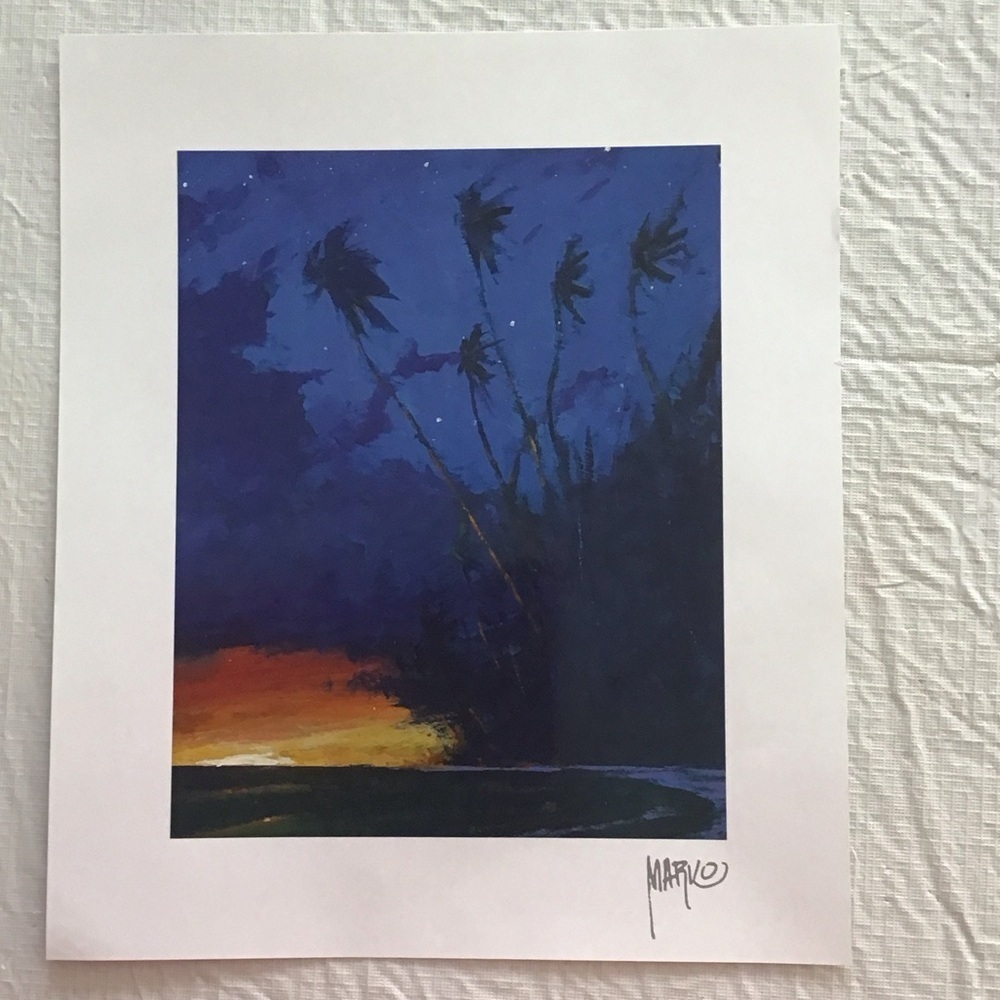 Tropical Twilight Art Print by Unknown Artist